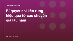 Read more about the article Bí quyết soi kèo rung hiệu quả từ các chuyên gia lâu năm