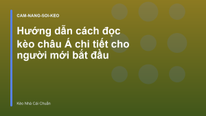 Read more about the article Hướng dẫn cách đọc kèo châu Á chi tiết cho người mới bắt đầu